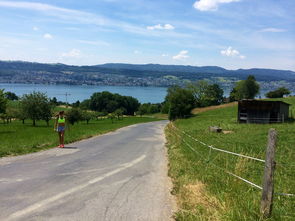 九游官网入口充值-“缆绳滑水：东桃花岛赛场呈现全新水上运动魅力”